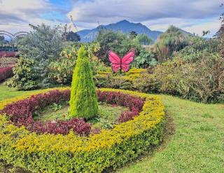 Paraiso Orquideario - Baños - 4