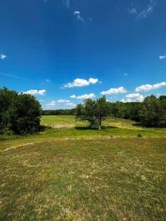Stunning Mid-Cent Modern Retreat • Comfy Beds • Grove • Quiet Setting • Boat Parking - Grove - 5