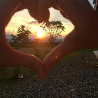 Pink Castle House - 4