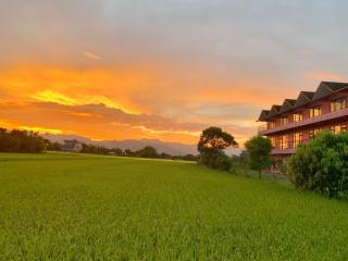 Pink Castle House - 7