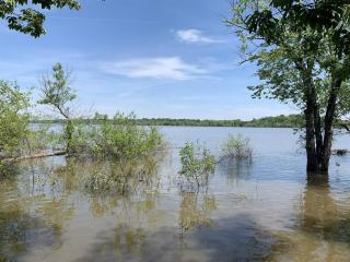 Cozy Cottage • King Bed • Grove • Kayaks • Boat Parking - Grove - 6