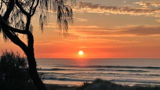 Essence Peregian Beach - Peregian Beach - 8
