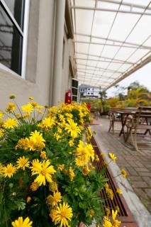 Golden Lodge - Tanah Rata - 2