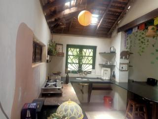 The Wild Flower! - Anjuna - 3