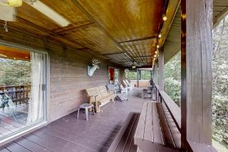 Black Bear's Den - 4