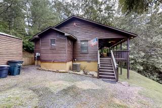 Black Bear's Den - Murphy - 1