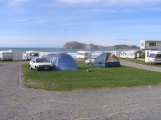 Castlepoint Holiday Park & Motels - Castlepoint - 6