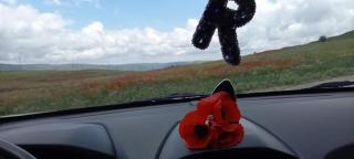 Lahij Rashad Ismayilov Hotel - 1