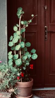 Oak House - 5