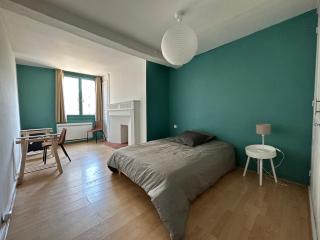 Chambre dans maison originale en centre ville - Troyes - 7
