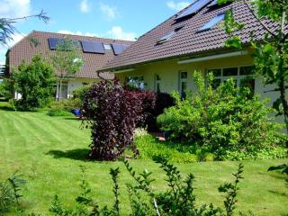 4 Sterne Apartment Steilufer mit Terrasse und Sauna in Südwestlage - Lobbe - 0