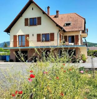 Au Piémont des Vosges - 3