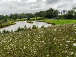 Peaceful ensuite lakeside cabin 'Tench' - Hadlow Down - 7