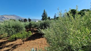 Appartamenti Amagea - 5