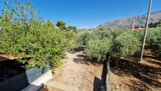 Appartamenti Amagea - 4