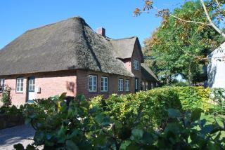 Letj Lindguard - Alkersum - 8