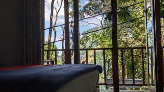 Ella nature nest - Ella - 4