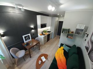 Przytulne studio przy Atlas Arena i malowniczym parku - Łódź - 9