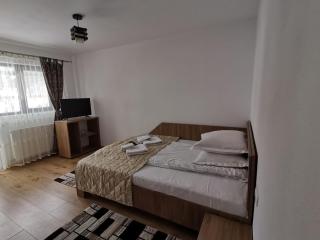 Casa Dana Olteanu - Moieciu de Sus - 6