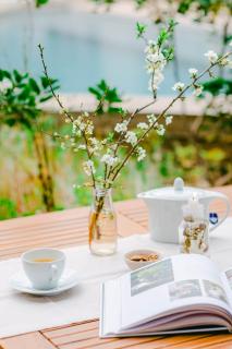 The Nest by Cooking and Nature - Alvados - 1