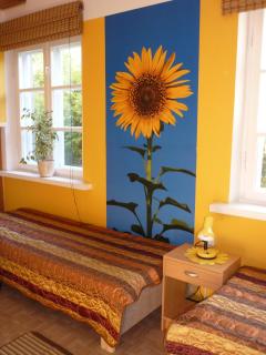 Marigolds - Sigulda - 3