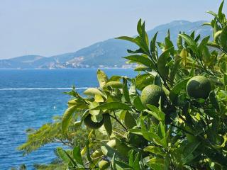 Orange Tree Mediterranean Beachfront House - Neum - 7