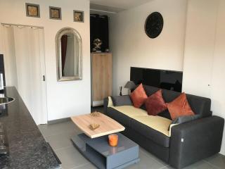 Studio Détente à 10mn de la Gare et Aéroport St Exupéry - Colombier-Saugnieu - 0