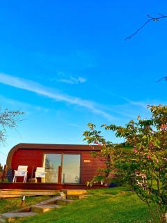 The Pod & Cwtch luxury accommodation - Aberaeron - 1