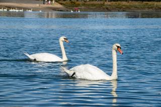 Finest Retreats - Kings Wharf - Luxury Riverside Home - 4