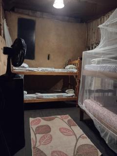 Chales sprinfeld - 7