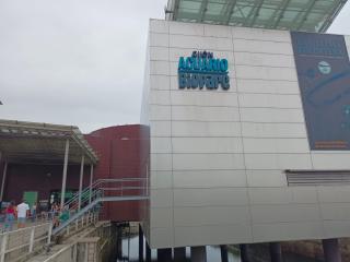 Apartamento Gijón Central Playa - 6