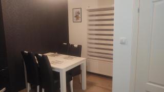 Apartman BIG Novi Sad - Novi Sad - 1