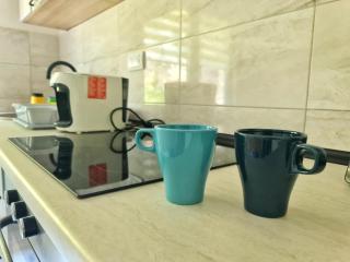 Apartman Berlin Sokobanja - Soko Banja - 6