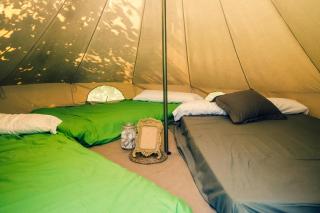 Ecològic Vinyols Camp - 3