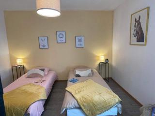 Le petit coin des oliviers - Colmar - 9