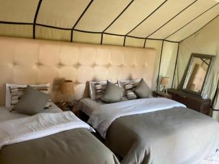 Arena Desert Camp & Activitys - Merzouga - 0
