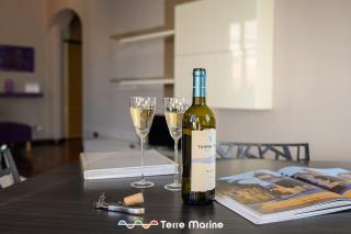 City Museum, TerreMarine - 4