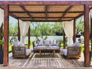 ELYSIAN VILLA - Amoudi - 1
