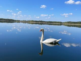 Johatsu - Między niebem a rumianem - 1