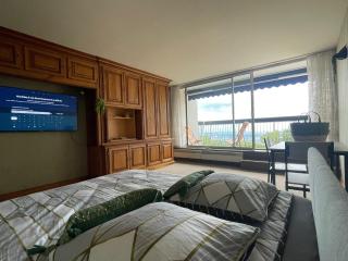 LE PANORAMA studio privé avec vue magnifique TURCKHEIM TROIS ÉPIS - Turckheim - 0
