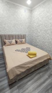 Люкс апартаменты в ЖК Shanyrak - Pavlodar - 5