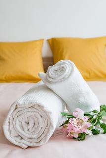APPART COSY - COMME À LA MAISON - ST ETIENNE - 3