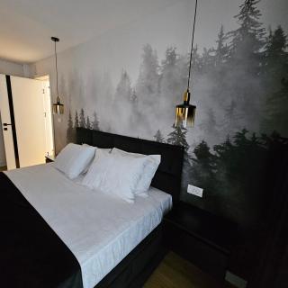 Apartament Zorilor - 7