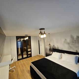 Apartament Zorilor - 9