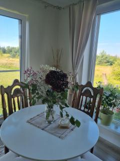 Vilmos House - Vydmantai - 0