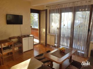 Apartman Saki - Zlatibor - 3