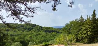 Cabanon des amoureux - Apt - 6