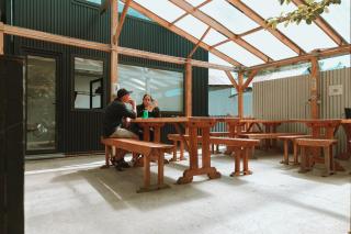 Camping Yellow Plum - 4