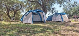 Olive Camping - Himare - 1