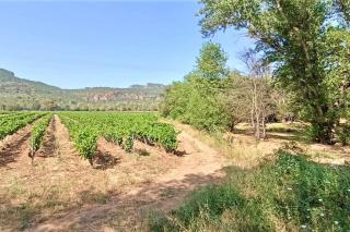 Superbe Villa Cadre campagne - Roquebrune-sur-Argens - 3